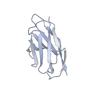 27784_8dyw_V_v1-0
Cryo-EM structure of 239 Fab in complex with recombinant shortened Plasmodium falciparum circumsporozoite protein (rsCSP)