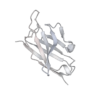 27784_8dyw_W_v1-0
Cryo-EM structure of 239 Fab in complex with recombinant shortened Plasmodium falciparum circumsporozoite protein (rsCSP)