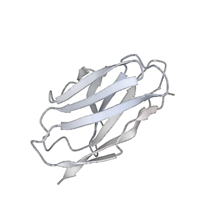 27784_8dyw_X_v1-0
Cryo-EM structure of 239 Fab in complex with recombinant shortened Plasmodium falciparum circumsporozoite protein (rsCSP)