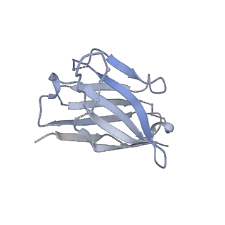 27785_8dyx_A_v1-0
Cryo-EM structure of 311 Fab in complex with recombinant shortened Plasmodium falciparum circumsporozoite protein (rsCSP)
