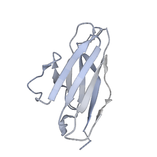 27785_8dyx_B_v1-0
Cryo-EM structure of 311 Fab in complex with recombinant shortened Plasmodium falciparum circumsporozoite protein (rsCSP)