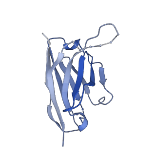 27785_8dyx_C_v1-0
Cryo-EM structure of 311 Fab in complex with recombinant shortened Plasmodium falciparum circumsporozoite protein (rsCSP)