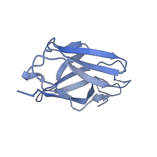 27785_8dyx_D_v1-0
Cryo-EM structure of 311 Fab in complex with recombinant shortened Plasmodium falciparum circumsporozoite protein (rsCSP)