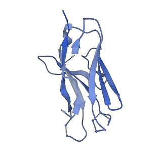 27785_8dyx_F_v1-0
Cryo-EM structure of 311 Fab in complex with recombinant shortened Plasmodium falciparum circumsporozoite protein (rsCSP)