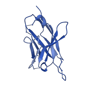 27785_8dyx_M_v1-0
Cryo-EM structure of 311 Fab in complex with recombinant shortened Plasmodium falciparum circumsporozoite protein (rsCSP)