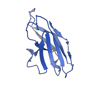 27785_8dyx_P_v1-0
Cryo-EM structure of 311 Fab in complex with recombinant shortened Plasmodium falciparum circumsporozoite protein (rsCSP)