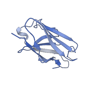 27785_8dyx_R_v1-0
Cryo-EM structure of 311 Fab in complex with recombinant shortened Plasmodium falciparum circumsporozoite protein (rsCSP)