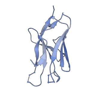 27785_8dyx_T_v1-0
Cryo-EM structure of 311 Fab in complex with recombinant shortened Plasmodium falciparum circumsporozoite protein (rsCSP)
