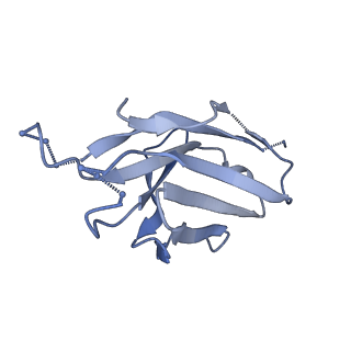 27785_8dyx_V_v1-0
Cryo-EM structure of 311 Fab in complex with recombinant shortened Plasmodium falciparum circumsporozoite protein (rsCSP)