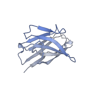 27785_8dyx_W_v1-0
Cryo-EM structure of 311 Fab in complex with recombinant shortened Plasmodium falciparum circumsporozoite protein (rsCSP)