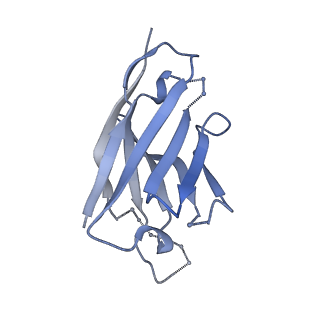 27786_8dyy_A_v1-0
Cryo-EM structure of 334 Fab in complex with recombinant shortened Plasmodium falciparum circumsporozoite protein (rsCSP)