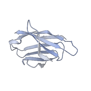 27786_8dyy_B_v1-0
Cryo-EM structure of 334 Fab in complex with recombinant shortened Plasmodium falciparum circumsporozoite protein (rsCSP)