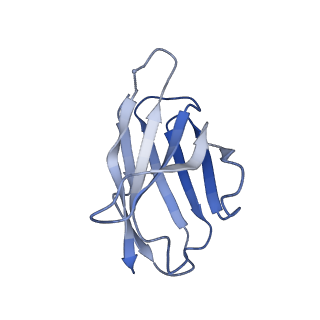 27786_8dyy_D_v1-0
Cryo-EM structure of 334 Fab in complex with recombinant shortened Plasmodium falciparum circumsporozoite protein (rsCSP)