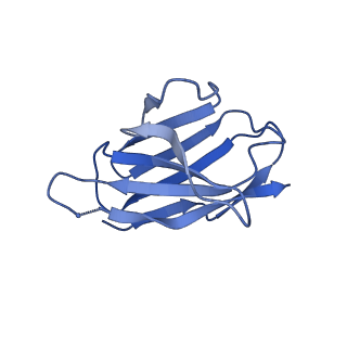 27786_8dyy_F_v1-0
Cryo-EM structure of 334 Fab in complex with recombinant shortened Plasmodium falciparum circumsporozoite protein (rsCSP)