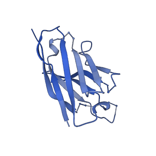 27786_8dyy_H_v1-0
Cryo-EM structure of 334 Fab in complex with recombinant shortened Plasmodium falciparum circumsporozoite protein (rsCSP)
