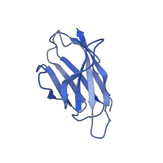 27786_8dyy_N_v1-0
Cryo-EM structure of 334 Fab in complex with recombinant shortened Plasmodium falciparum circumsporozoite protein (rsCSP)