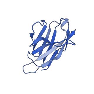 27786_8dyy_R_v1-0
Cryo-EM structure of 334 Fab in complex with recombinant shortened Plasmodium falciparum circumsporozoite protein (rsCSP)