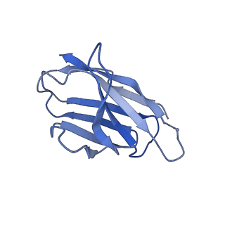 27786_8dyy_T_v1-0
Cryo-EM structure of 334 Fab in complex with recombinant shortened Plasmodium falciparum circumsporozoite protein (rsCSP)