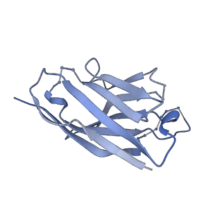 27786_8dyy_U_v1-0
Cryo-EM structure of 334 Fab in complex with recombinant shortened Plasmodium falciparum circumsporozoite protein (rsCSP)