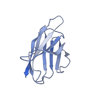 27786_8dyy_V_v1-0
Cryo-EM structure of 334 Fab in complex with recombinant shortened Plasmodium falciparum circumsporozoite protein (rsCSP)