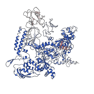 30914_7dy6_D_v1-0
A refined cryo-EM structure of an Escherichia coli RNAP-promoter open complex (RPo) with SspA