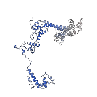 30914_7dy6_F_v1-0
A refined cryo-EM structure of an Escherichia coli RNAP-promoter open complex (RPo) with SspA