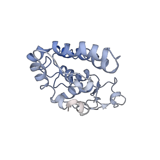 30914_7dy6_I_v1-0
A refined cryo-EM structure of an Escherichia coli RNAP-promoter open complex (RPo) with SspA
