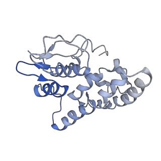 30914_7dy6_J_v1-0
A refined cryo-EM structure of an Escherichia coli RNAP-promoter open complex (RPo) with SspA