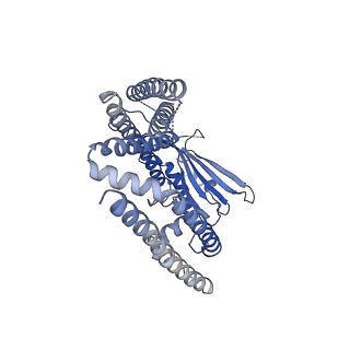 30924_7dys_B_v1-1
CryoEM structure of full length mouse TRPML2
