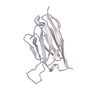 27787_8dz3_A_v1-0
Cryo-EM structure of 337 Fab in complex with recombinant shortened Plasmodium falciparum circumsporozoite protein (rsCSP)