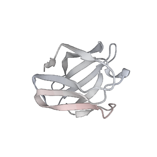 27787_8dz3_B_v1-0
Cryo-EM structure of 337 Fab in complex with recombinant shortened Plasmodium falciparum circumsporozoite protein (rsCSP)