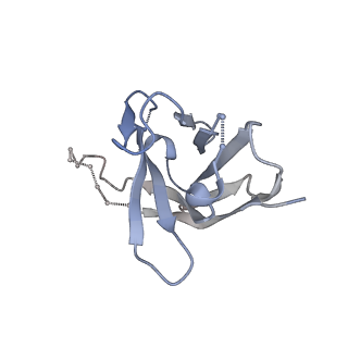 27787_8dz3_C_v1-0
Cryo-EM structure of 337 Fab in complex with recombinant shortened Plasmodium falciparum circumsporozoite protein (rsCSP)
