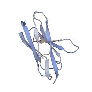 27787_8dz3_D_v1-0
Cryo-EM structure of 337 Fab in complex with recombinant shortened Plasmodium falciparum circumsporozoite protein (rsCSP)