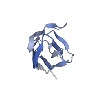 27787_8dz3_F_v1-0
Cryo-EM structure of 337 Fab in complex with recombinant shortened Plasmodium falciparum circumsporozoite protein (rsCSP)