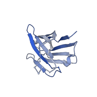 27787_8dz3_H_v1-0
Cryo-EM structure of 337 Fab in complex with recombinant shortened Plasmodium falciparum circumsporozoite protein (rsCSP)