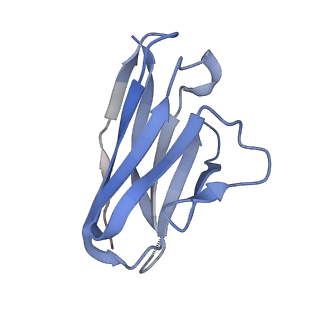 27787_8dz3_L_v1-0
Cryo-EM structure of 337 Fab in complex with recombinant shortened Plasmodium falciparum circumsporozoite protein (rsCSP)