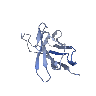 27787_8dz3_O_v1-0
Cryo-EM structure of 337 Fab in complex with recombinant shortened Plasmodium falciparum circumsporozoite protein (rsCSP)