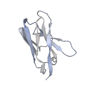 27787_8dz3_P_v1-0
Cryo-EM structure of 337 Fab in complex with recombinant shortened Plasmodium falciparum circumsporozoite protein (rsCSP)