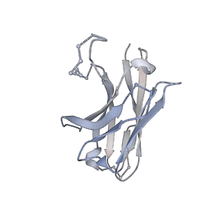 27787_8dz3_Q_v1-0
Cryo-EM structure of 337 Fab in complex with recombinant shortened Plasmodium falciparum circumsporozoite protein (rsCSP)
