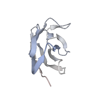 27787_8dz3_R_v1-0
Cryo-EM structure of 337 Fab in complex with recombinant shortened Plasmodium falciparum circumsporozoite protein (rsCSP)