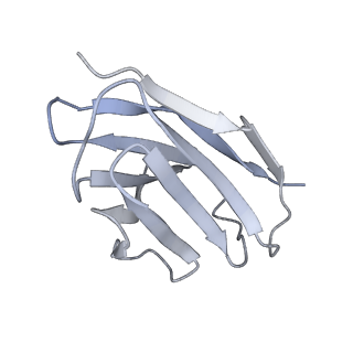 27788_8dz4_B_v1-0
Cryo-EM structure of 356 Fab in complex with recombinant shortened Plasmodium falciparum circumsporozoite protein (rsCSP)