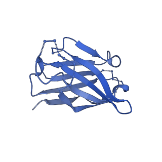 27788_8dz4_C_v1-0
Cryo-EM structure of 356 Fab in complex with recombinant shortened Plasmodium falciparum circumsporozoite protein (rsCSP)