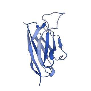 27788_8dz4_E_v1-0
Cryo-EM structure of 356 Fab in complex with recombinant shortened Plasmodium falciparum circumsporozoite protein (rsCSP)