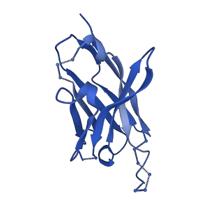 27788_8dz4_O_v1-0
Cryo-EM structure of 356 Fab in complex with recombinant shortened Plasmodium falciparum circumsporozoite protein (rsCSP)