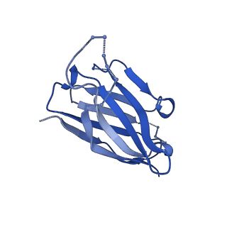 27788_8dz4_Q_v1-0
Cryo-EM structure of 356 Fab in complex with recombinant shortened Plasmodium falciparum circumsporozoite protein (rsCSP)