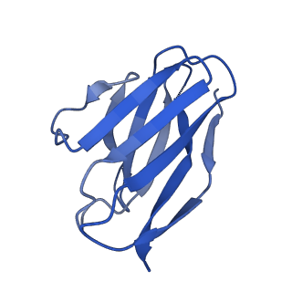 27788_8dz4_R_v1-0
Cryo-EM structure of 356 Fab in complex with recombinant shortened Plasmodium falciparum circumsporozoite protein (rsCSP)