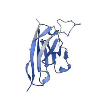 27788_8dz4_S_v1-0
Cryo-EM structure of 356 Fab in complex with recombinant shortened Plasmodium falciparum circumsporozoite protein (rsCSP)