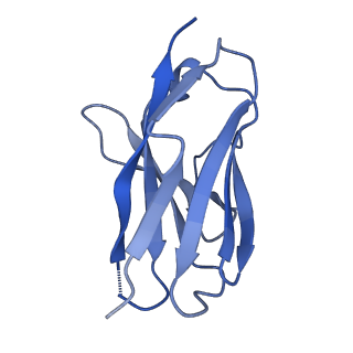 27788_8dz4_V_v1-0
Cryo-EM structure of 356 Fab in complex with recombinant shortened Plasmodium falciparum circumsporozoite protein (rsCSP)