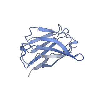 27788_8dz4_Y_v1-0
Cryo-EM structure of 356 Fab in complex with recombinant shortened Plasmodium falciparum circumsporozoite protein (rsCSP)
