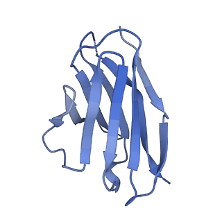 27788_8dz4_Z_v1-0
Cryo-EM structure of 356 Fab in complex with recombinant shortened Plasmodium falciparum circumsporozoite protein (rsCSP)